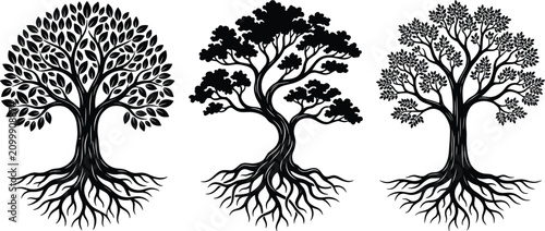 Obraz na płótnie Vector Silhouette Set of Tree of Life Graphics with Intricate Roots and Branch O
