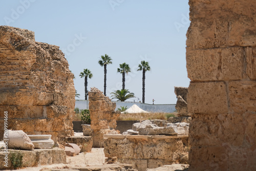 Canvastavla Ruins of ancient Carthage. Tunis, Tunisia, North Africa