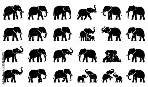 Photography Elephant Silhouette Collection with Adult Baby Walking Standing and Wildlife Ani