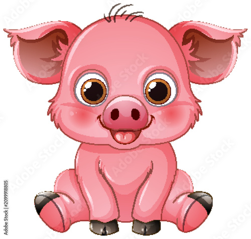 Cute Pink Baby Pig Cartoon Character Sitting on White Background