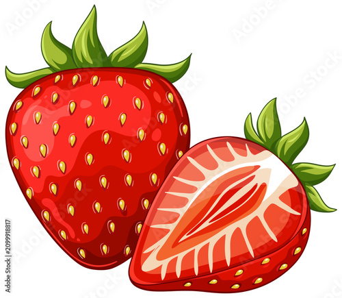 Cartoon Style Red Strawberry Illustration with Whole and Sliced Berry