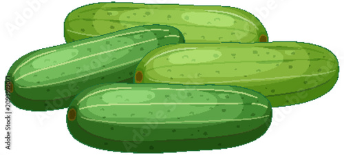 Fresh Green Cucumber Vector Illustration Set on White Background