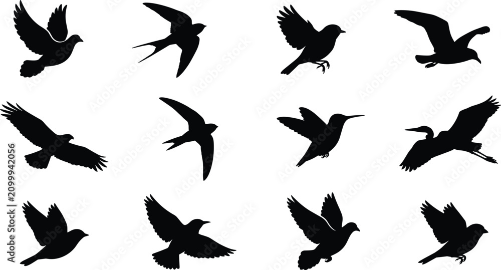 Obraz premium Flying Bird Silhouette Vector Icon Set with Eagle, Swallow, Hummingbird, Seagull, Heron, and Sparrow Shapes for Nature Wildlife Graphic Designs