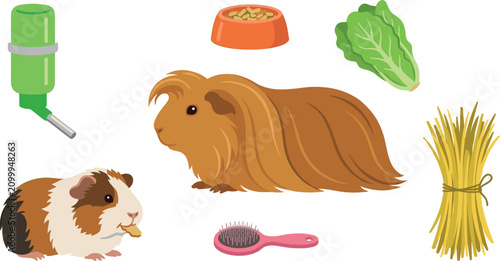 Fotografie Flat vector design of cute guinea pig small pets with animal care accessories fo