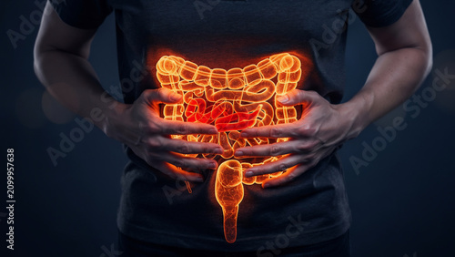 Glowing human intestines with a red inflamed section, held by hands, dark background, concept for health care, medical awareness and digestive system diagnostics