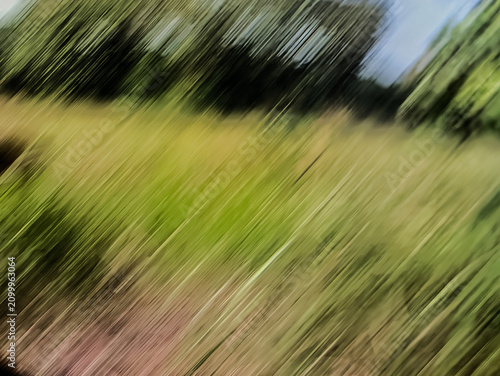Fotografie Modern abstract wallpaper with dynamic blurred lines resembling windblown grass