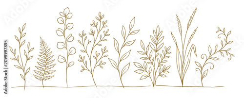 Fotografía A line drawing of several plants and grasses growing from the ground in a field