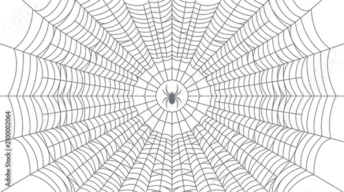 Fotografie Spiderweb with a central arachnid creates a symmetrical pattern for spooky holiday graphic backgrounds