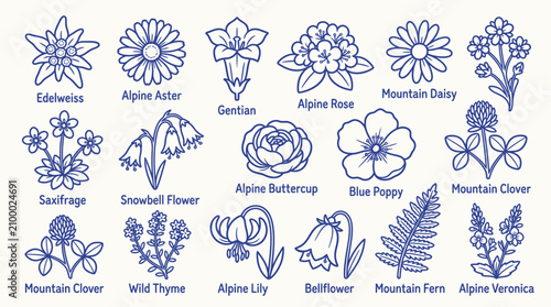Foto Collection of Hand-Drawn Alpine Flowers and Plants in Blue Outline Style