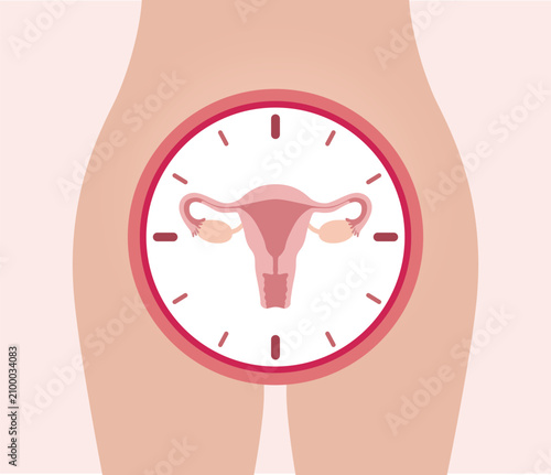 Female reproductive system women uterus in the ringing alarm clock vector illustration 