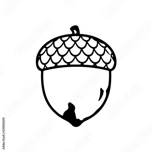 Minimalist acorn line art vector illustration simple black outline oak nut icon isolated on white background perfect for autumn seasonal design elements and logo branding