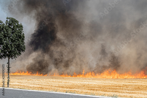 incendie dans les champs en seine et marne