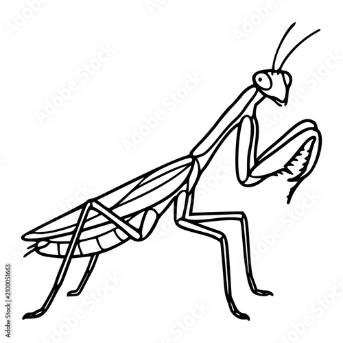 A clean black and white line art vector icon of a praying mantis in characteristic stance, excellent for representing entomology, natural history, predatory insects, or organic pest control in educati