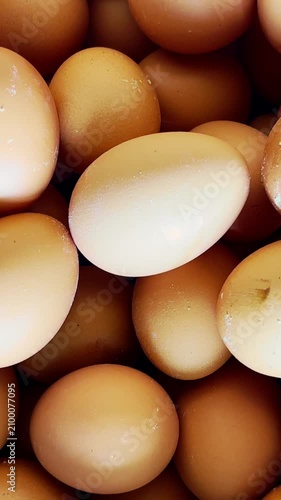 Close-up assortment of fresh brown and white chicken eggs fills a rustic food background.