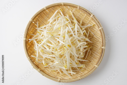 Cuadro en lienzo もやし食材