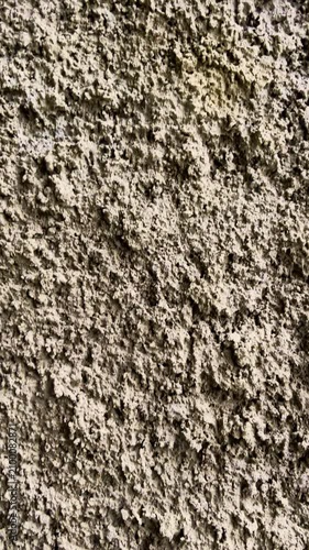Vertical macro view captures a coarse aged concrete wall with uneven granular surface detail.