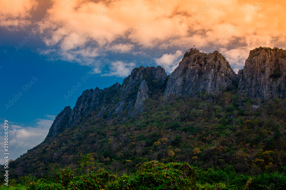 Fototapeta premium Close-up wallpaper view of nature (mountains, rivers, mangroves), the blurring of the wind blowing through the leaves, the beauty of the ecosystem while traveling