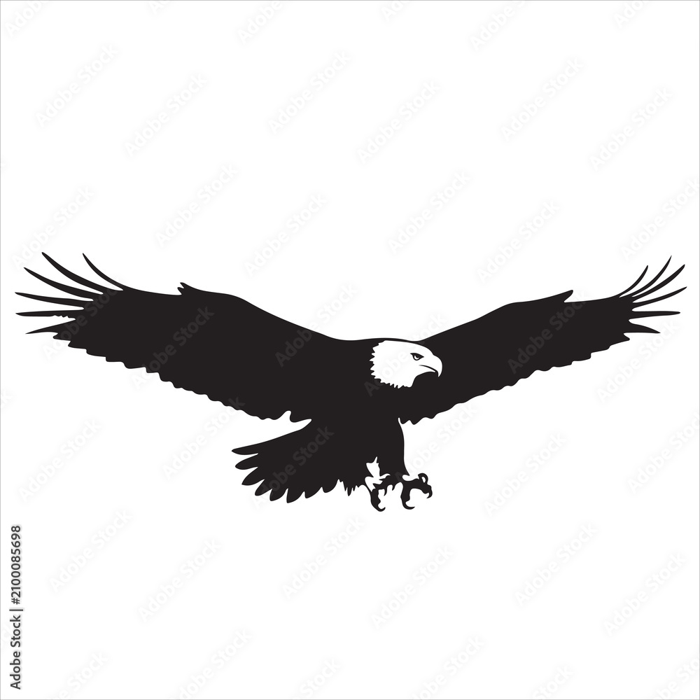 Fototapeta premium Flying Bald Eagle Black Silhouette Vector Bird of Prey SVG Illustration