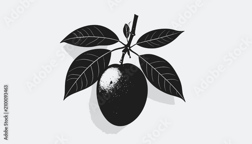 Foto Black silhouette of a single mango.
