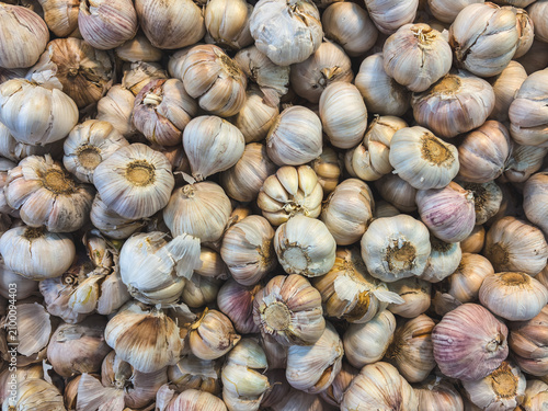 Fresh garlic bulbs piled high in a market stall. White and purple skins show natural texture and variation. Each clove nestled in its papery casing. Ideal for culinary, health