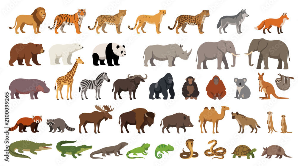 Fototapeta premium A premium vector illustration set featuring a diverse collection of wild animals from different continents and habitats