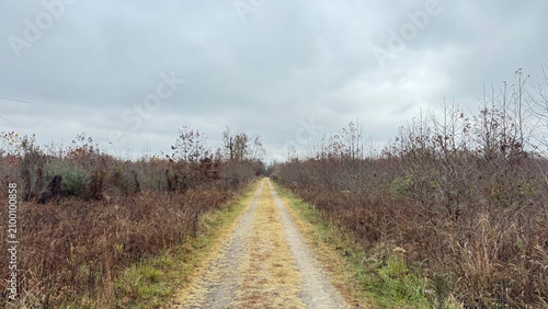 Принти на полотні Straight gravel path crossing a quiet winter meadow