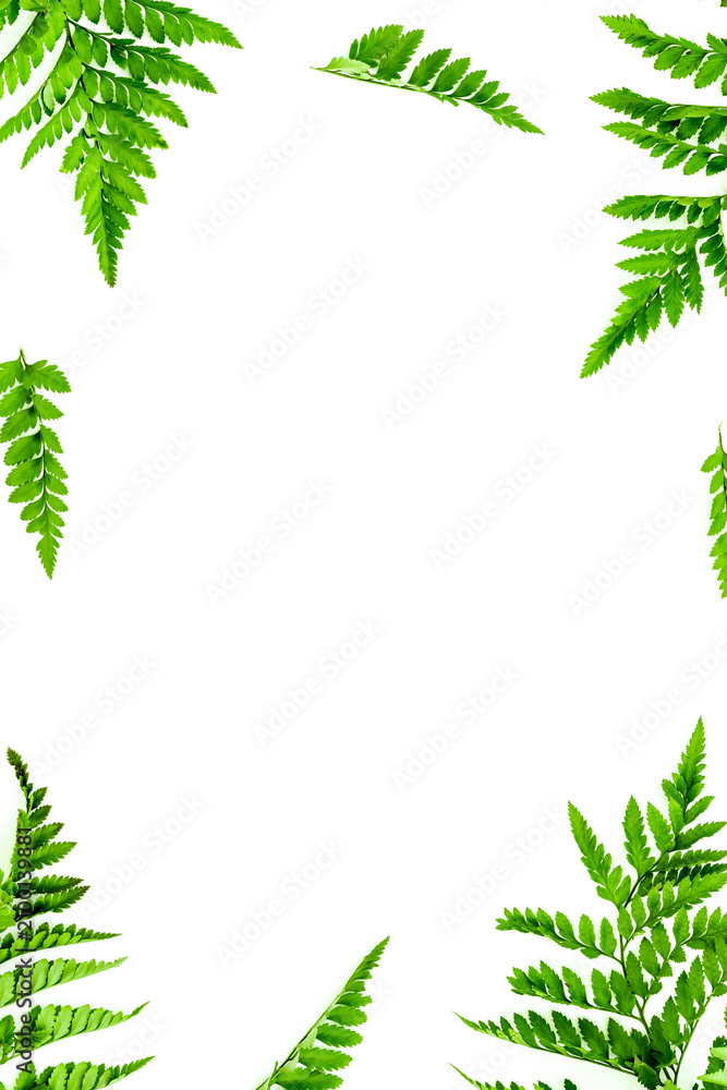 Obraz premium Spring background. Fresh green leaves frame on white background top view space for text