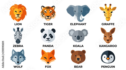 Photography Cute Animal Faces Collection - Lion, Tiger, Elephant, Giraffe, Zebra, Panda, Koa