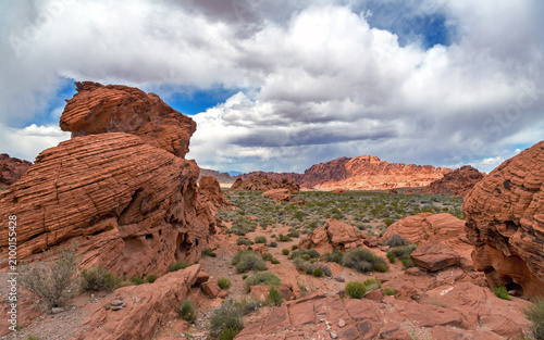 Panoramic view of the stunning red rock formations of the Valley of Fire State Park, Nevada, USA. Desert vegetation and a summer sky background.