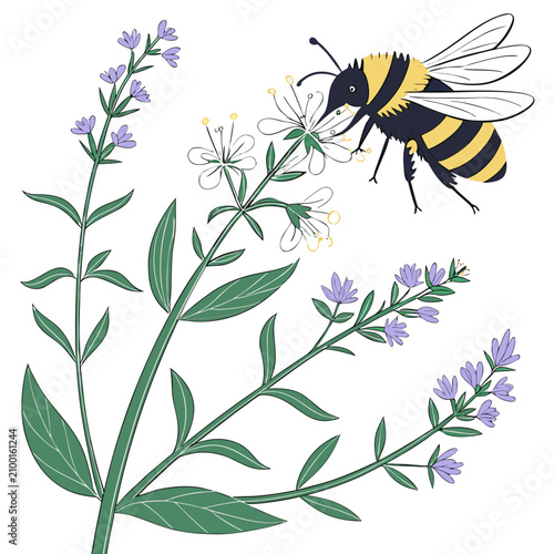Quadro em tela A of a striped bumblebee approaching a white flowering plant with thin green lea