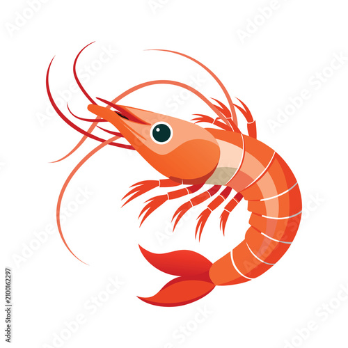 Orange Shrimp Cartoon Vector Illustration Isolated on White Background