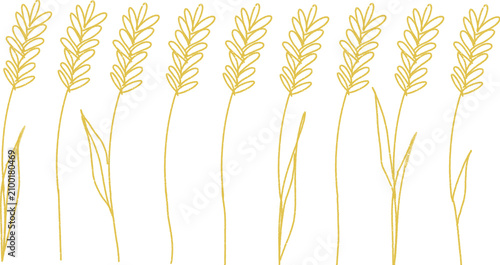 Obraz na płótnie ears of wheat