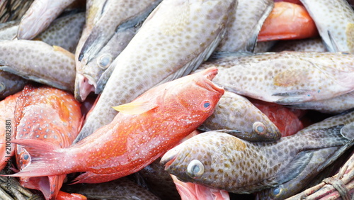 Canvastavla fresh fish on the roadside