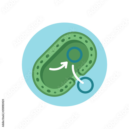 Mitochondria illustration with DNA and cellular processes.