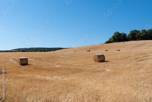 Foto grand champs de blé moissonné avec ses belles bottes rondes par une superbe jour