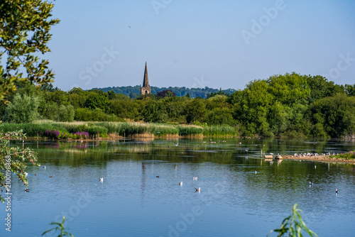 Tranquil Waterlands with a Flock of Birds at Attenborough Nature Reserve, Nottingham, UK