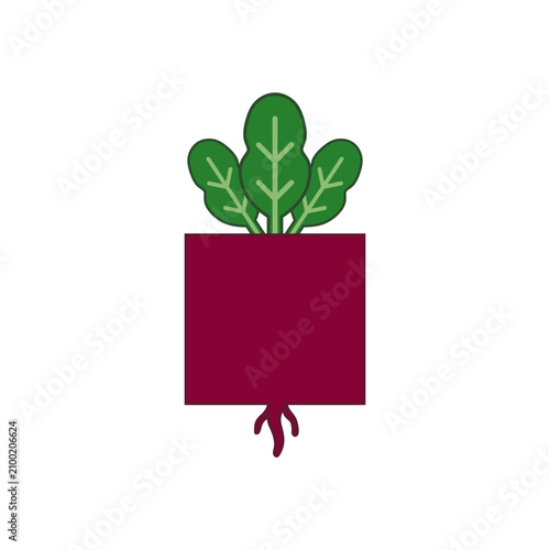 flat design illustration fresh purple beetroot with green leaves. Flat illustration of a single beet with green leaves.Cartoon vector illustration vegetables. Summer background seasonal harvest.