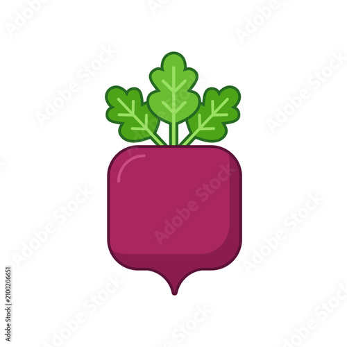flat design illustration fresh purple beetroot with green leaves. Flat illustration of a single beet with green leaves.Cartoon vector illustration vegetables. Summer background seasonal harvest.
