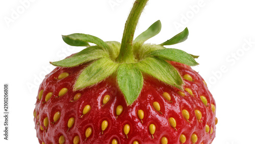 Fotografie Isolated fresh ripe red strawberry fruit with green stem and leaves close-up mac