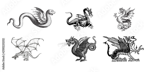 Foto Diverse collection of vintage dragon illustrations including winged serpents and