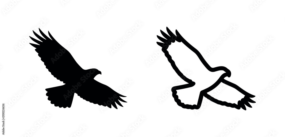 Fototapeta premium Soaring bird of prey icons