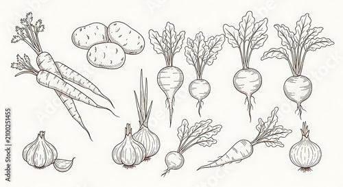 Black and white sketch of fresh harvested vegetables collection with vegetables