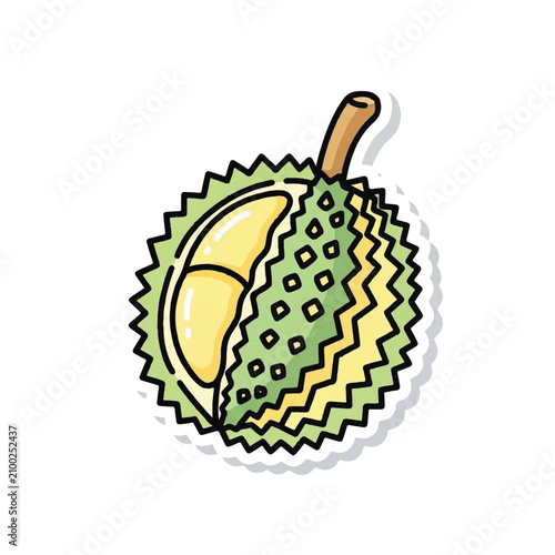 Durian Fruit Cut Open Showing Segments 1.