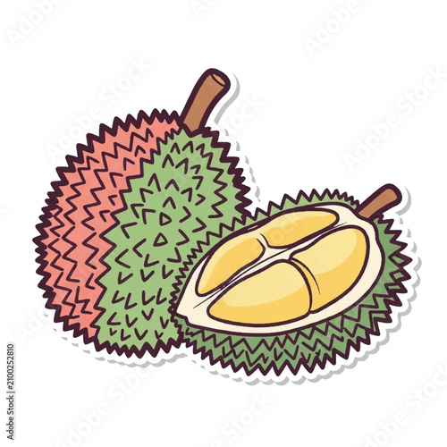 Durian Fruit Cut Open Showing Segments.