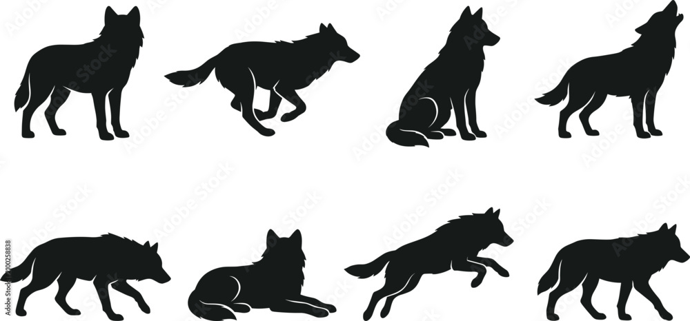Obraz premium Wolf Silhouette Collection with Eight Standing Running Sitting Howling Jumping and Walking Wildlife Vector Illustrations