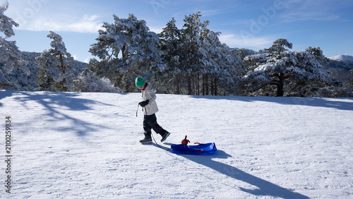 Εκτύπωση καμβά Young boy pulling sled on a snowy winter day