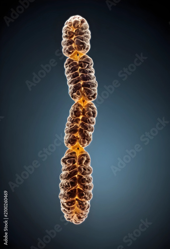 Biological structure with g...