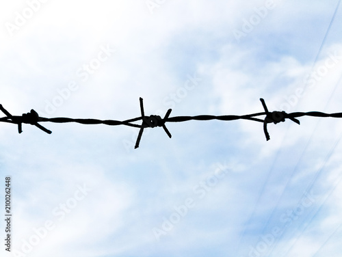 Canvas Print barbed wire fence