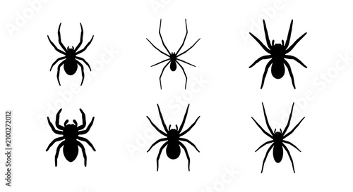 Spider Silhouettes Collection, Halloween Icons, Arachnid Vector Graphics, Insect Art