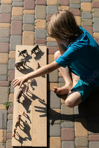 barefoot child boy plays with toy animal figures and examines their contrasting shadows with interest on a sunny day. A creative, imagination-building game for children.